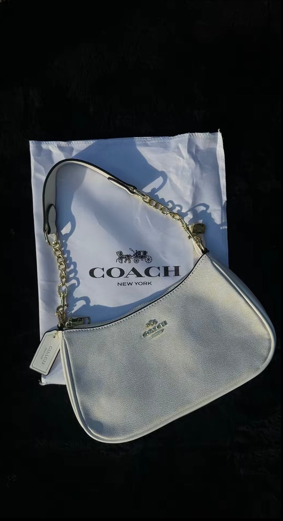 Louis Vuitton Bag