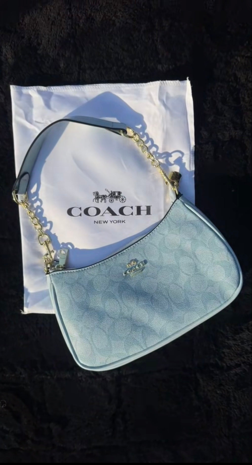 Louis Vuitton Bag