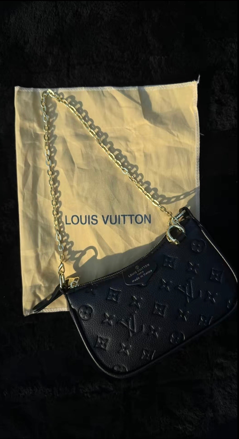 Louis Vuitton Bag