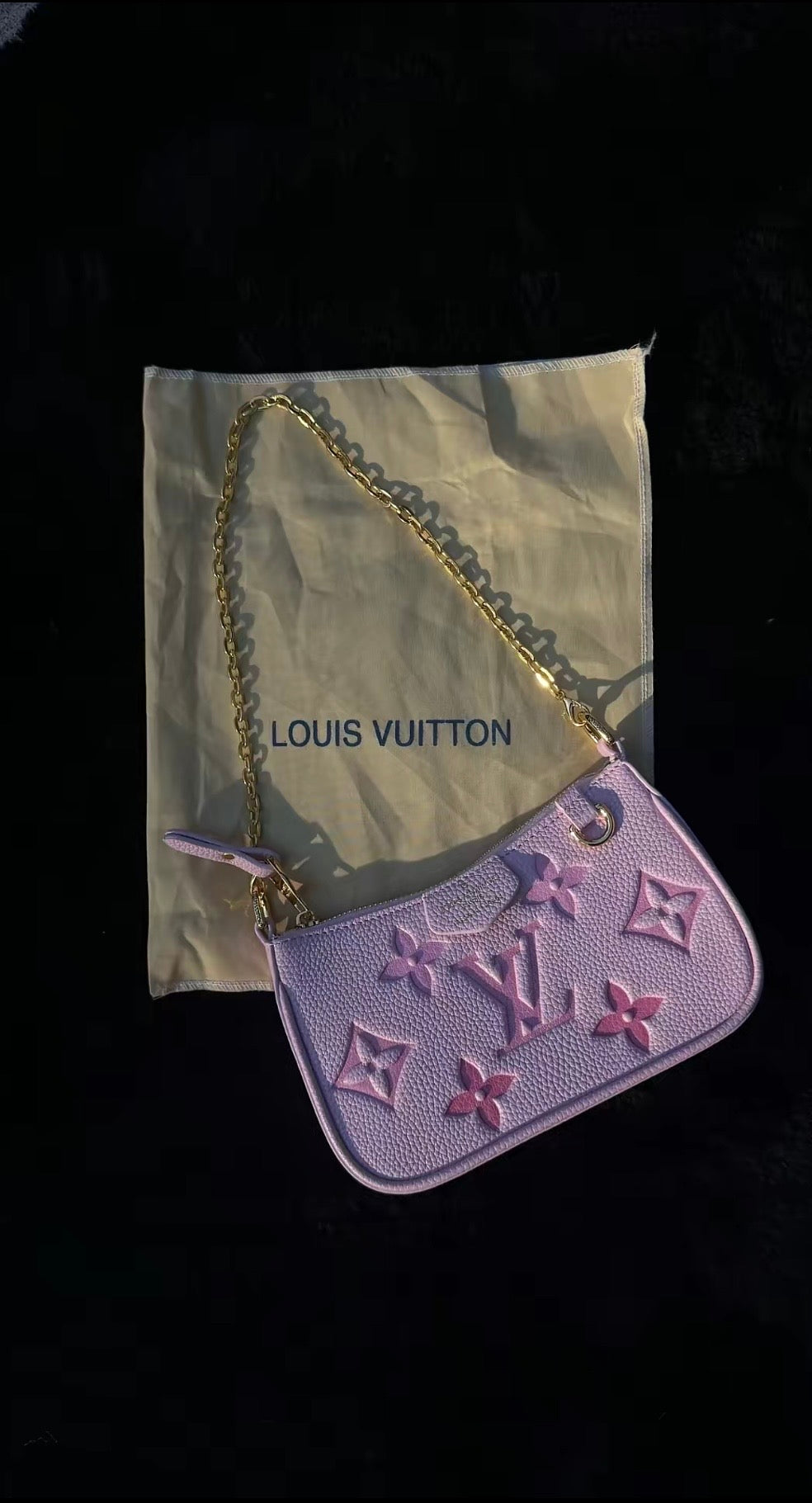 Louis Vuitton Bag