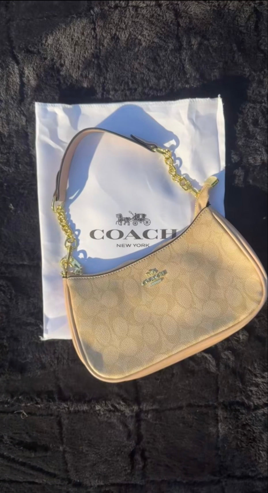 Louis Vuitton Bag